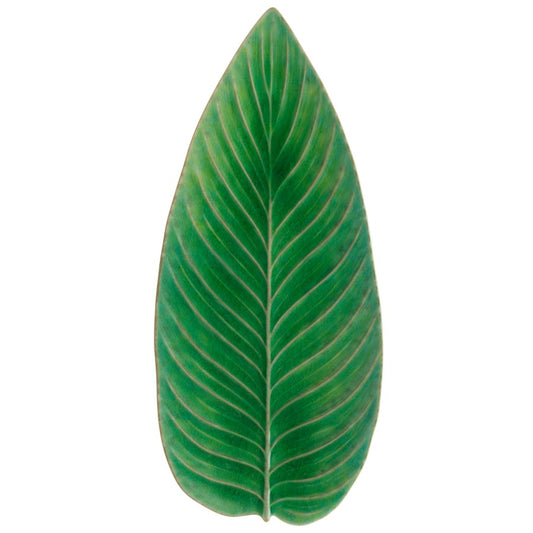 Strelizia leaf riviera - 40cm - tomate