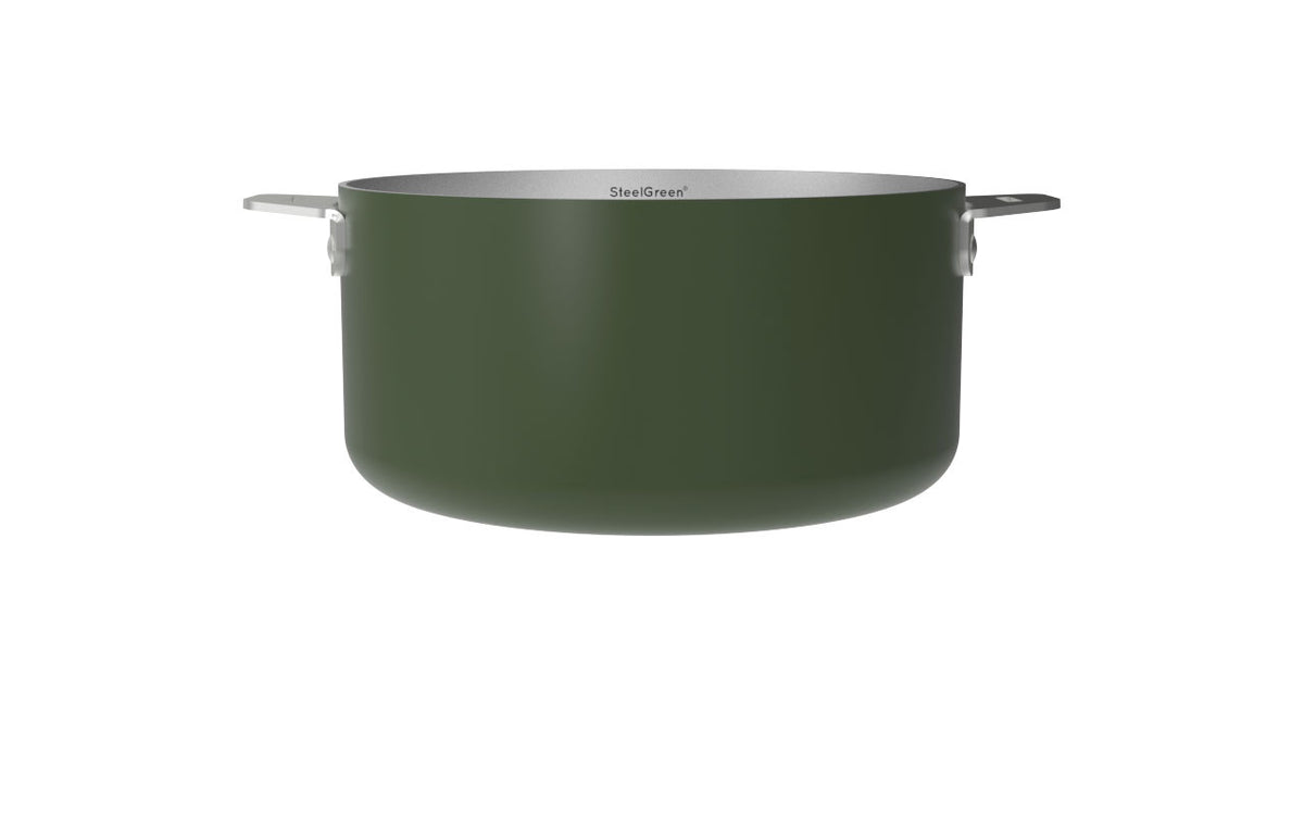 Merveilleuse casserole inox 20 groen-fougere